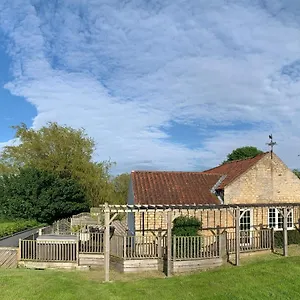 Primrose , Malton United Kingdom